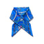 PRE-ORDER  Banker Dice Printed Bandana  也文也武
